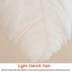 YKLL Unique Colorful LED Floor Lamp with Ostrich Feather Design - Camel, H:2m