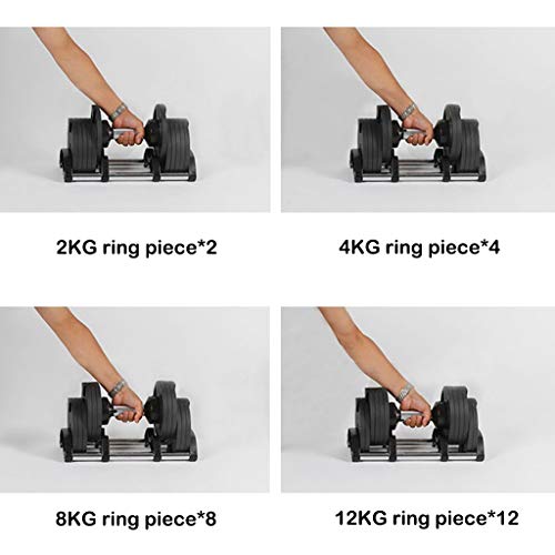 44 lb Dumbbells Hand Weights Set of 2 - Vinyl Coated Exercise & Fitness Dumbbell for Home Gym Equipment Workouts Strength Training Free Weights for Men (44 pounds)