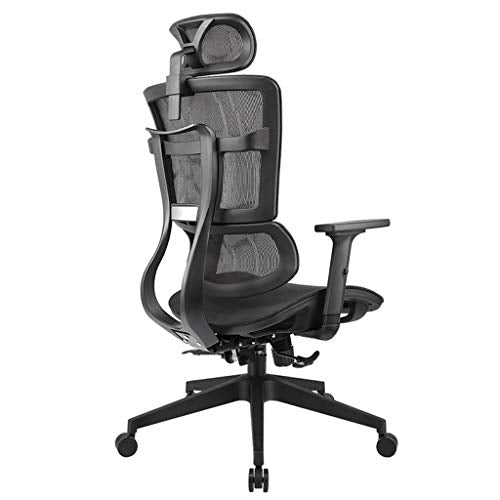 LYLY Ergonomic Reclining Office Chair with Double Back Waist Support (Nylon feet)