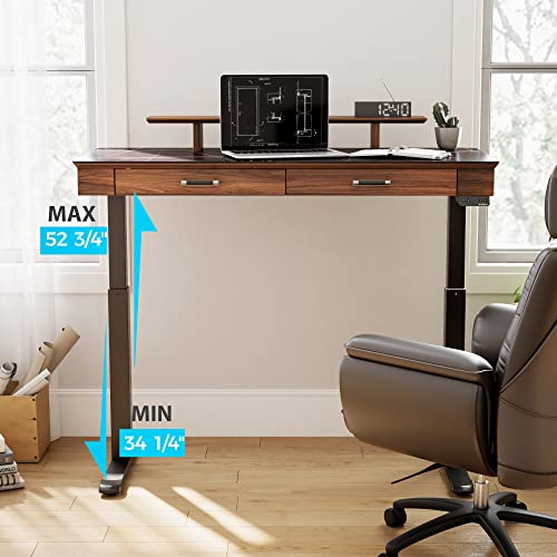 EUREKA ERGONOMIC Electric Standing Desk with Drawers, 55" Height Adjustable, Monitor Shelf, APP Control, Sintered Stone Desktop - Black/Walnut