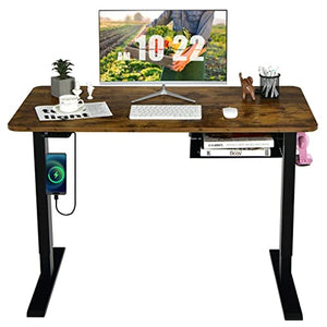 None 48" Electric Standing Desk Height Adjustable with Control Panel & USB Port - Home Office (Color: B)