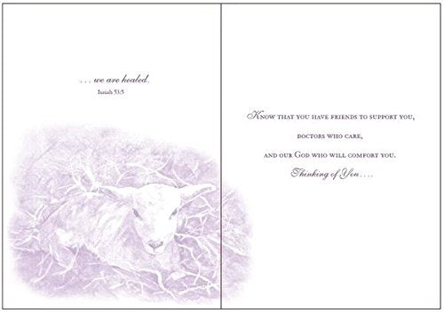 Gracefully Yours 222 Get Well Greeting Cards Featuring Mary Joe Noe, 4 Designs/3 Each with Scripture Message, 6 5/8" x 4 3/4"