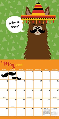2018 Llamas Wall Calendar