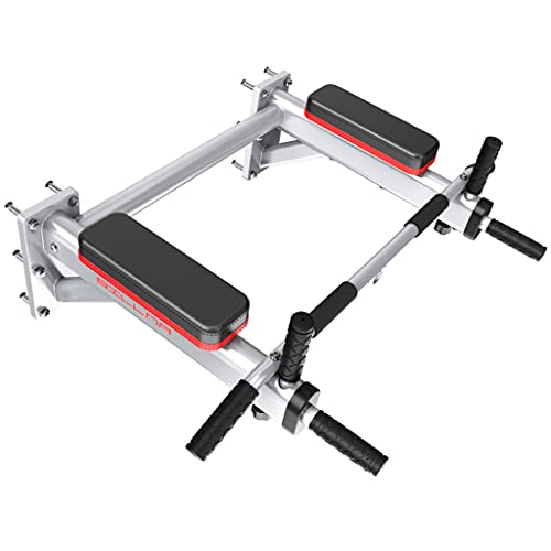TYX Wall Mounted Pull Up Bars, Multifunction Strength Training Equipment with Pads and Handles, Heavy Duty Chin Up Bars for Home Fitness,Silver