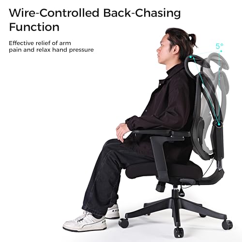 EUREKA ERGONOMIC Mesh Office Chair with 5D Adjustable Armrest and Wire Control Lumbar Support