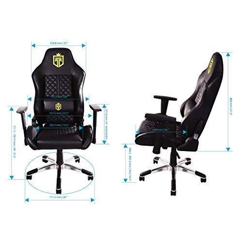 GT Throne, Immersive Gaming Chair, Vibrating Computer and Console Chair, Racing Style High-Back with Lumber Support and Headrest (Black on Black)