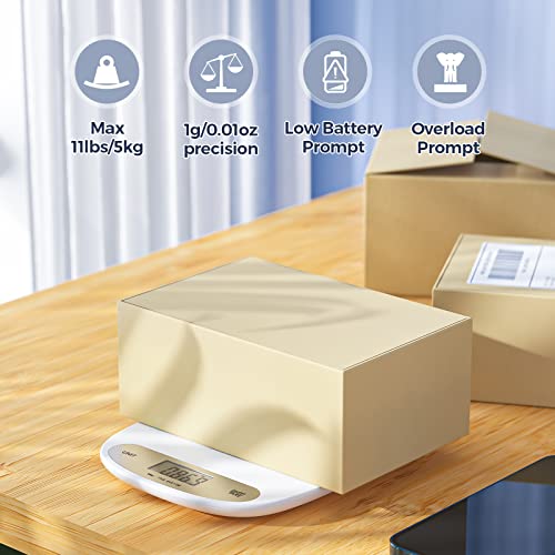 MUNBYN Shipping Label Printer 4x6 Label Printer for Shipping Packages, MUNBYN Thermal Direct Shipping Label (Pack of 500 4x6 Fan-Fold Labels), 11lb Digital Shipping Scale