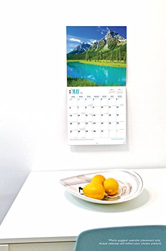 Outhouses 2018 Calendar (Multilingual Edition)