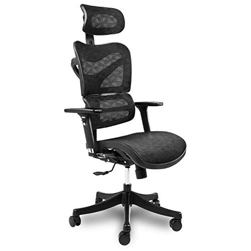Ergonomic Mesh Office Chair High Back with Adjustable Headrest/Tilt Back/Tension/Lumbar Support/Armrest/Seat Breathable High End Argomax Computer Desk Chair 360 Swivel Self Adaptive Base (Upgrade)