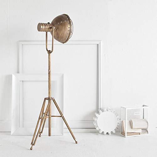 Carica Floor Lamp