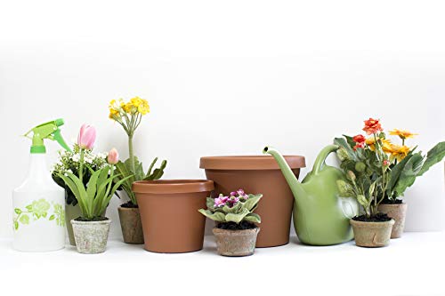Gardening Life Station - 48" x 61" x 24" Wooden Garden Station for Senior Living or Memory Care