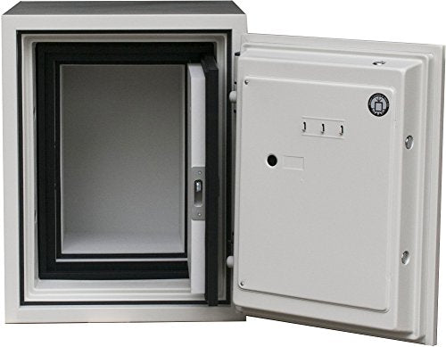 Phoenix Datacare 2-Hour Key Lock Fireproof Media Safe - 0.58 cu ft