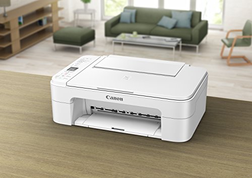 Canon TS3120 Wireless All-In-One Printer, White,21.8 x 17.2 x 8.4