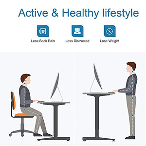 MAIDeSITe Electric Height Adjustable Standing Desk with 4 Memory Controller, 48X24 Inch Sit to Stand Desk for Home Office Rising Desk,Stand up Desk with The Whole Piece Board