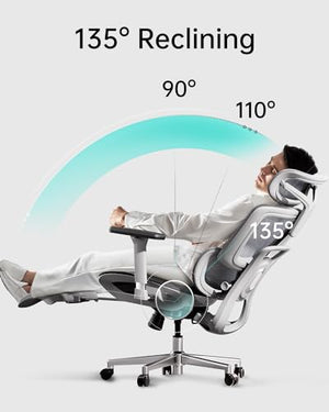 Hbada E208 Ergonomic Office Chair with 3D Adjustable Armrests and High Back - White