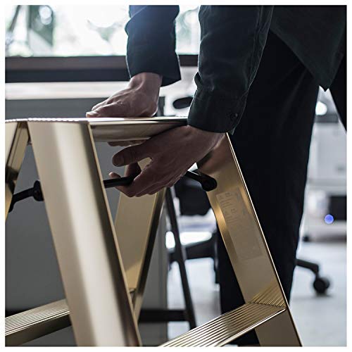 Hasegawa Lucano Step Stool Premium Edition 2 Step Gold