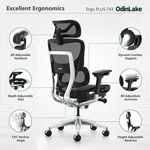 Loniko 743-Plus Big & Tall Ergonomic Office Chair with Lumbar Support, Headrest, and Footrest