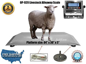 SellEton SL-929 Livestock & Cattle Alleyway Scale - Animal Weighing Equipment for Cows, Cattle, Horses, Goats, Sheep, Pigs - - 5000 lbs x 1 lb