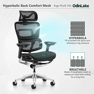 Loniko 743-Plus Big & Tall Ergonomic Office Chair with Lumbar Support, Headrest, and Footrest