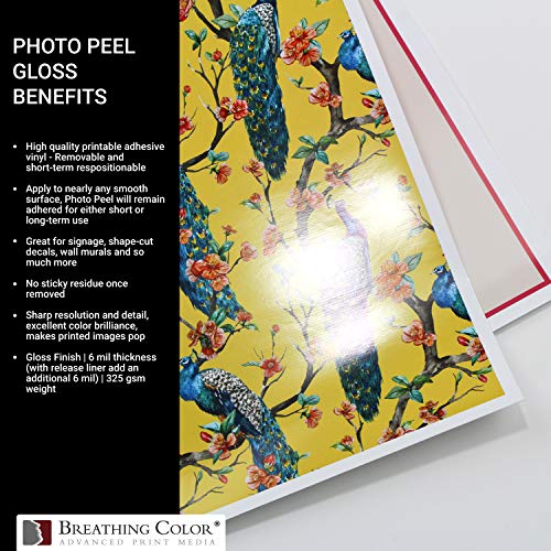 Photo Peel Glossy Printable Adhesive Vinyl Roll 44 inches x 60 feet Inkjet Peel and Stick Sticker Paper Works with All Inkjet Printers Including Professional Makes and Models