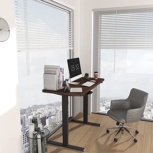 HOUSEELF Electric Height Adjustable Standing Desk - 48 x 24 Inches Stand Up Computer Writing Desk with Smart Memory Screen for Home, Office, Workstation, Black Frame & Walnut Top