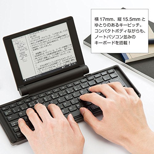 KINGJIM digital memo Pomela Silva - DM30 Sil (Japan Domestic genuine products)