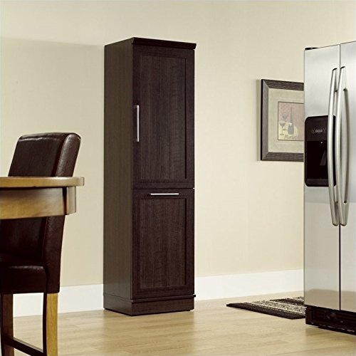 Sauder Homeplus Storage Cabinet in Dakota Oak
