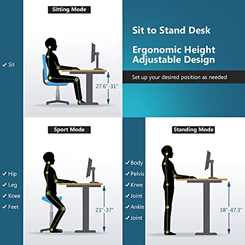 Tangkula Dual Motor Electric Standing Desk, Height Adjustable Stand Up Desk with Memory Controller & 2 Cable Holes, Motorized Sit Stand Desk Workstation w/Anti-Collision Design, Home Office Desk