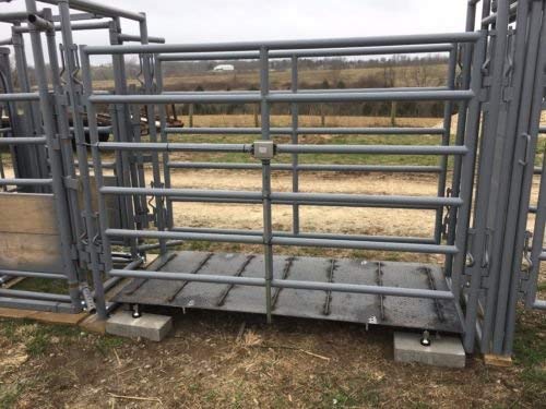 PEC Weigh Bars Beams Load BAR Scale Livestock Scale Kit Vet Animal Scales for Weighing Cattle Cow Pig Goat Hog Horse Llama Alpaca (24″)