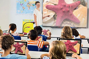 Lumens DC193 Full HD Portable Document Camera, Red