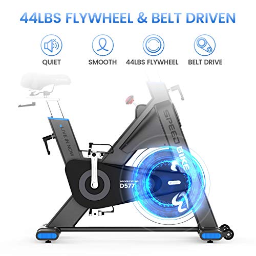 pooboo Exercise Bike Belt Driven Indoor Cycling Bike Commercial Standard Stationary Bike with 44lbs Flywheel for Professional Cardio Workout (Black and Blue)