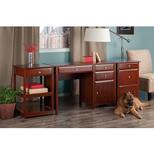 Winsome Wood Delta 3 Piece Home Office Set