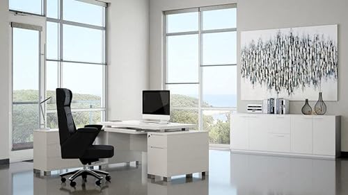 Zuri Furniture Reagan Modern White Office Storage Credenza