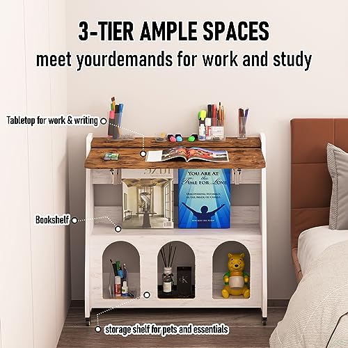 Pmnianhua Mobile Laptop Desk on Wheels with Storage