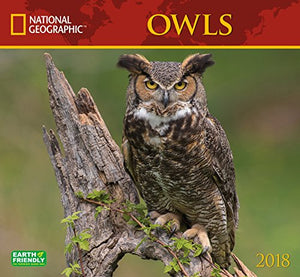 National Geographic Owls 2018 Wall Calendar