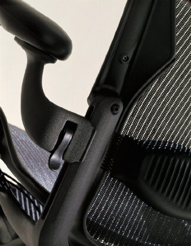 Herman Miller Embody Ergonomic Office Chair | Adjustable Arms & Carpet Casters | Black Rhythm