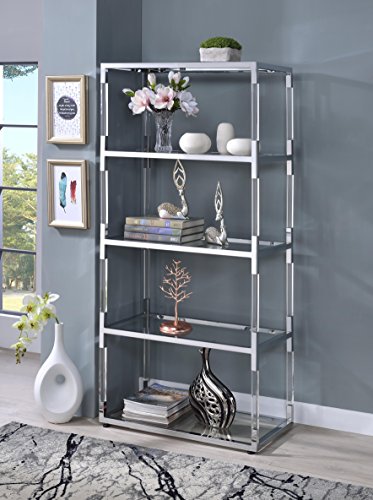 Acme Furniture 91246 Raegan Bookshelf with Glass