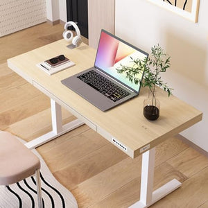 SanzIa Electric Standing Desk with Drawer and Storage Shelf - Height Adjustable Computer Workstation, Memory Presets, USB - Style 1, 138 * 60 * 134-180cm