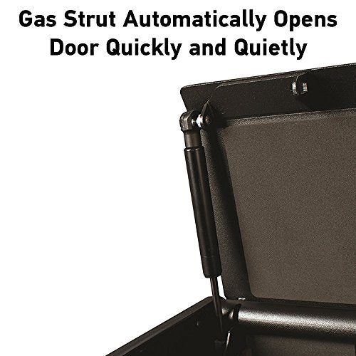 SentrySafe QAP1BE Gun Safe with Biometric Lock, 1 Capacity