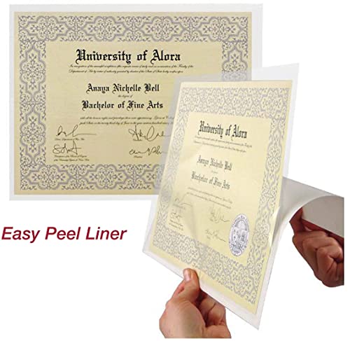 EnvyPak Full Page Pocket/Holder, Peel and Stick Adhesive, Top Loading, Clear, Holds 8.5” x 11” Sheet - Box of 500