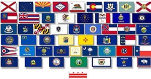 50-State 3'x5' Polyester Flag Set Plus D.C.-51 Polyester 3'x 5' Flags, One Flag for Each State, Includes The District of Colombia (Washington DC)