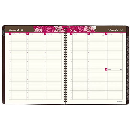 AT-A-GLANCE Weekly / Monthly Appointment Book / Planner 2017, Sorbet, 8-1/4 x 10-7/8" (794-905)