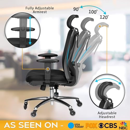 Duramont Ergonomic Office Chair with Lumbar Support, Rollerblade Wheels, and Mesh Design