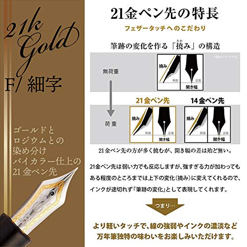 Sailor Pen fountain pen professional gear silver fine print 11-2037-220 Black