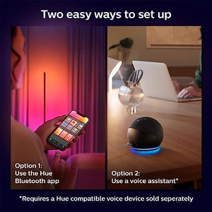 Philips Hue Gradient Signe Floor Lamp 2-Pack - Black, Alexa, Apple HomeKit, Google Assistant