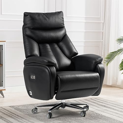 Kinnls Coast Power Office Recliner Chair with Adjustable Tilt Angle, Genuine Leather (Black-Dual Motor)