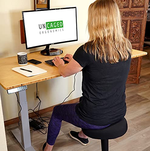 RISE UP dual motor electric standing desk 60x30" bamboo desktop premium ergonomic adjustable height sit stand up home office computer desk table motorized powered modern furniture small standup