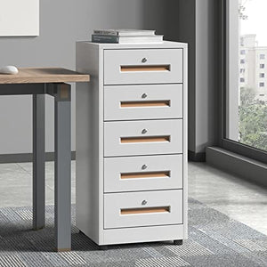 FIONEL 5 Drawer Vertical Metal File Cabinet with Lock - Gold