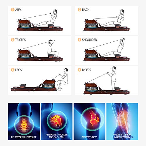 Water Rowing Machine, TopMade Oak Wood Water Adjustable Resistance Rower for Home Gym Workout Foldable Indoor Exercise Water Row Machine Fitness Equipment Bluetooth LCD Monitor Wooden Rower Machine