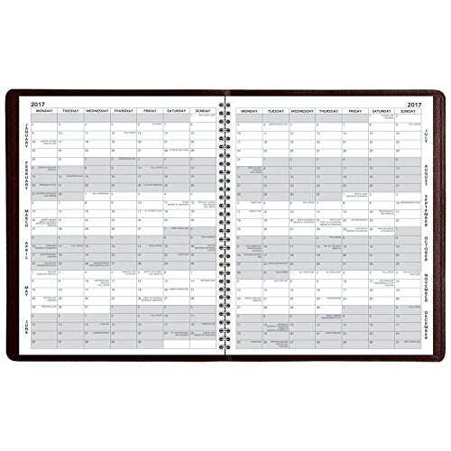 AT-A-GLANCE Monthly Planner / Appointment Book 2017, 13 Months, 8-7/8 x 11", Winestone (70-260-50)